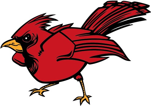 Cardinal - Cartoon (800x800)