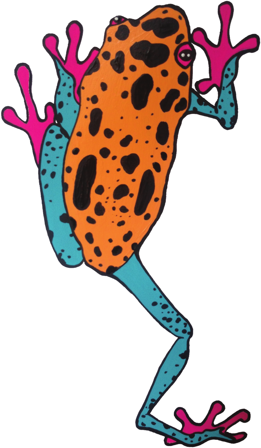 Spotted Frog Art Studio Llc - Frog (1427x1918)