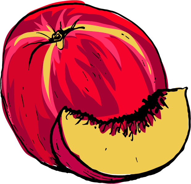 Nectarines - Nectarines (619x596)
