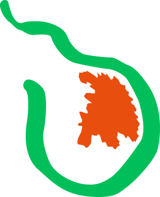 Ercolini Pear - Ercolini Pear (323x397)