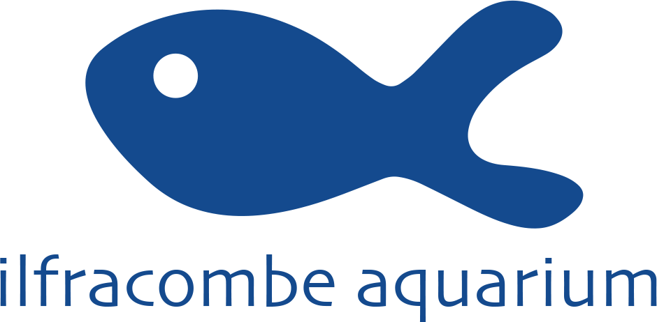 The Ilfracombe Aquarium (940x462)