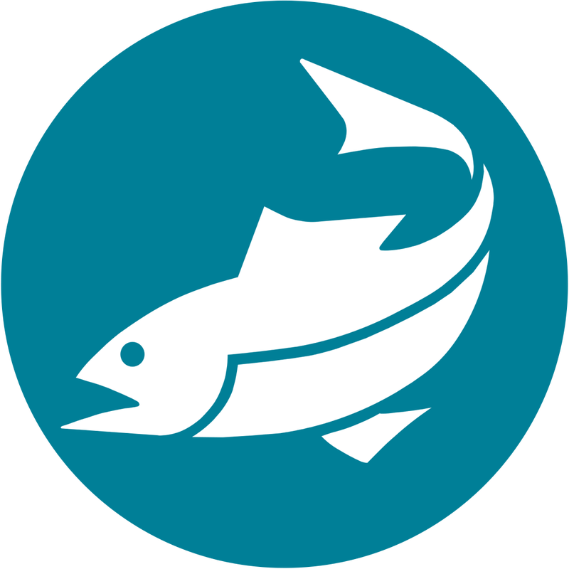 Picture - Fish (800x800)