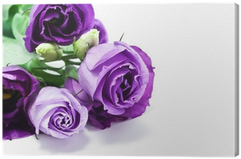 Garden Roses (400x400)