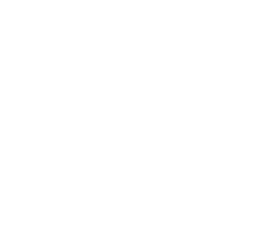 2014 - 2014 (865x785)