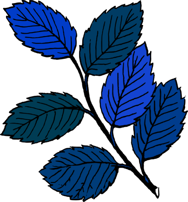 Database Developer - Leaves Clip Art (600x646)
