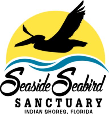 Seaside Seabird Sanctuary (384x400)