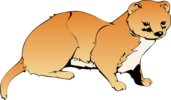 Weasels Clipart (600x352)
