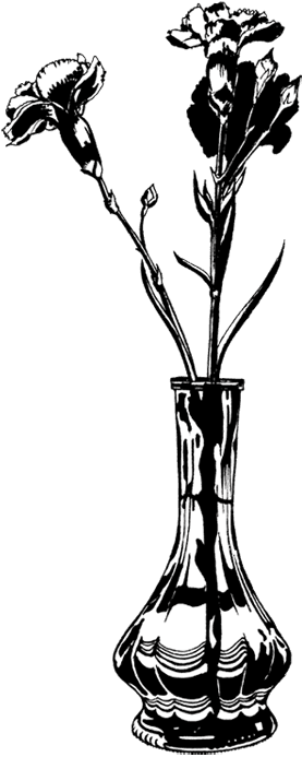 Flower Image - Flower (277x693)