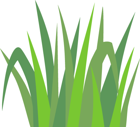 Garden - Lawn (459x417)