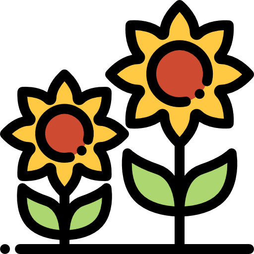 Sunflower Free Icon - Flower (512x512)