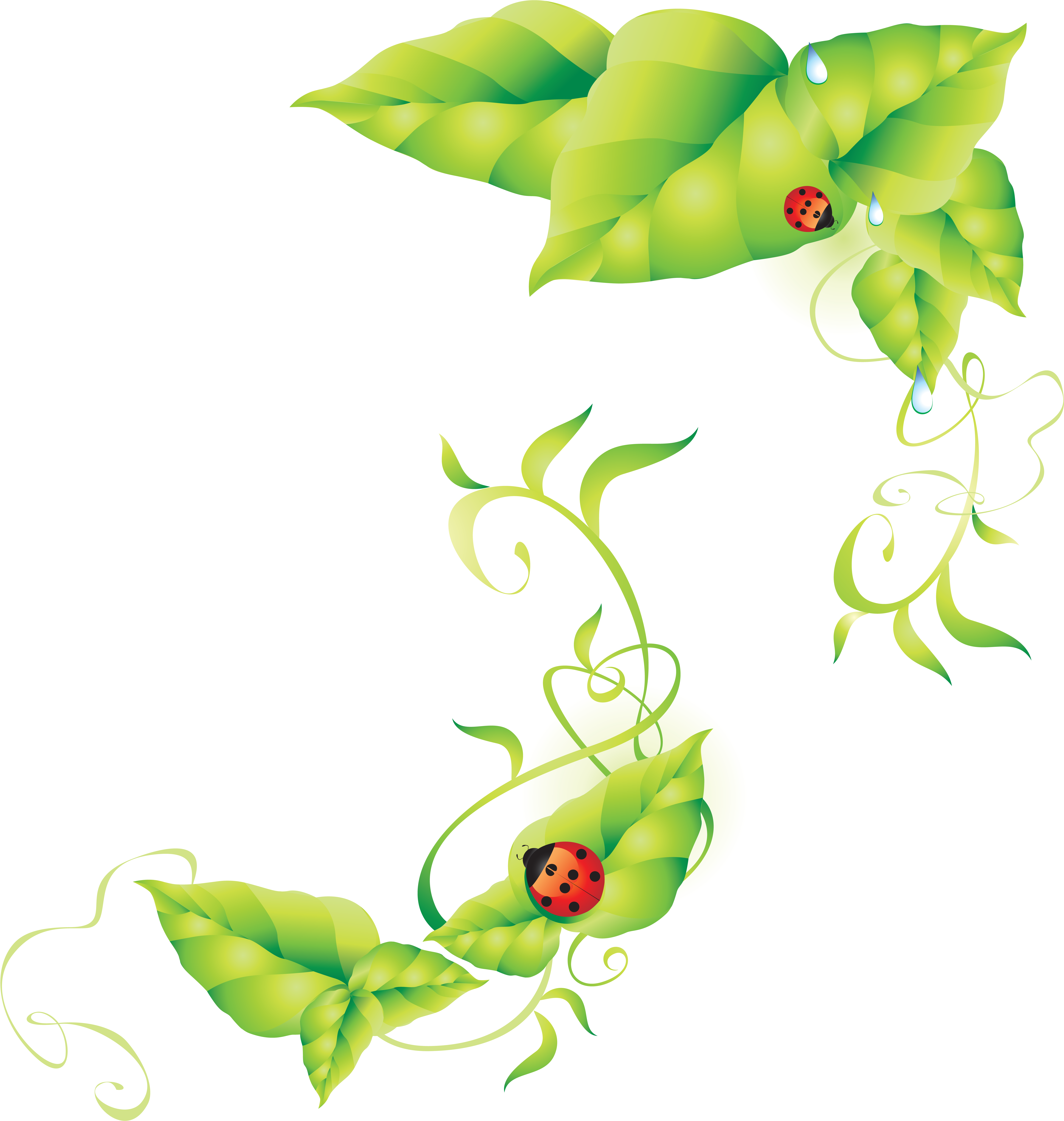 Назад, Божьи Коровки 6 - Green Background Vector (5936x6172)
