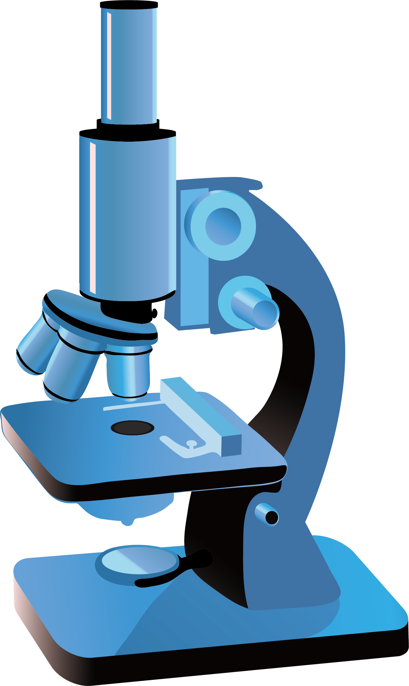 Microscope Drawing Illustration - Microscope Illustration (1403x2353)
