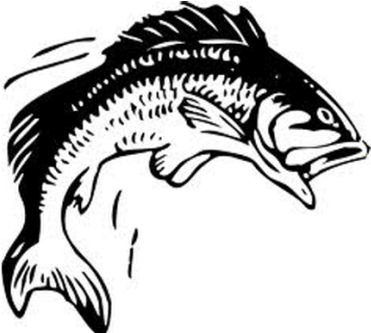 Black And White Fish (400x360)