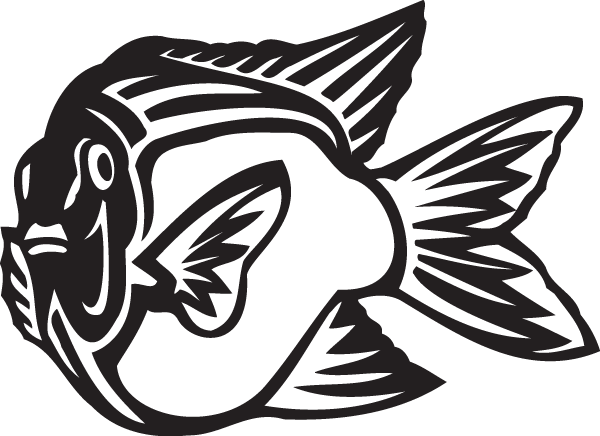 Decal (600x436)