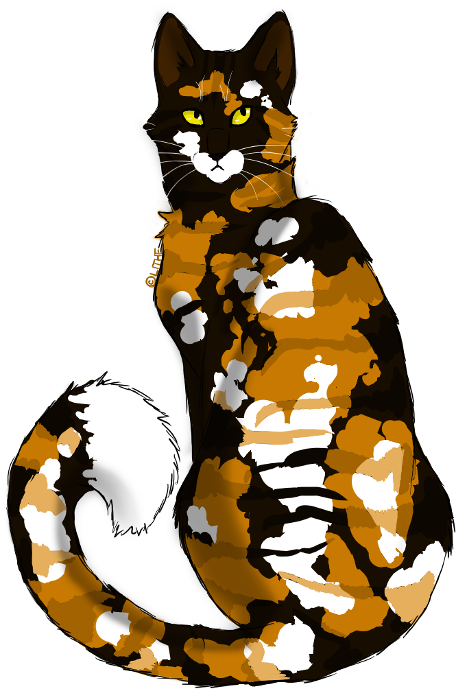Epic Sol By Lithestep - Tabby Cat (713x1047)
