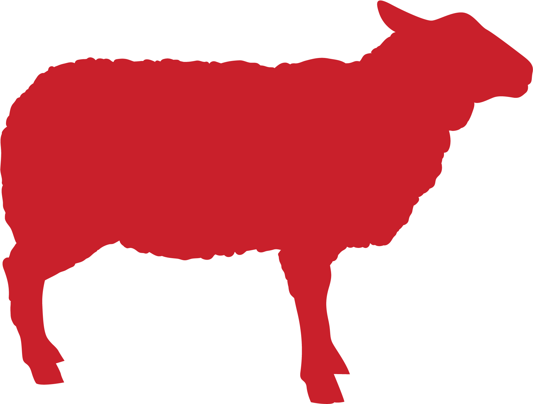 Sheep - Silhouette Schaap (2362x1654)
