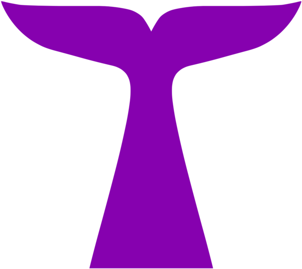 Fin Tail - Portable Network Graphics (1000x932)