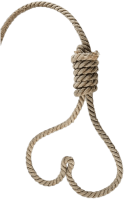Heart Shaped Noose (400x400)