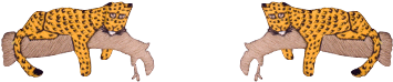01 Mc 2015 Home V2slider - Herd (629x629)