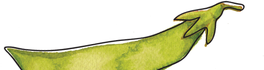 View More - - Table (1280x236)