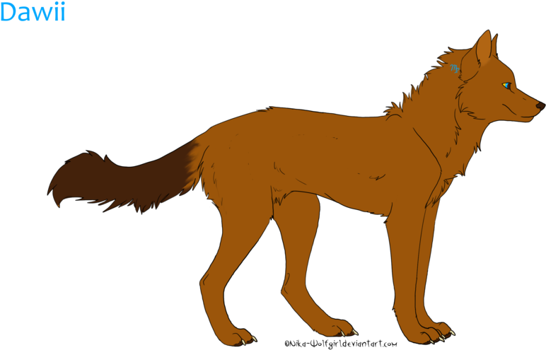 Pose Or Head Shot - Wolf Hybrid (900x600)