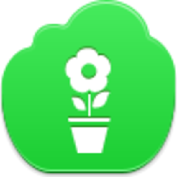 Stock.xchng (600x600)