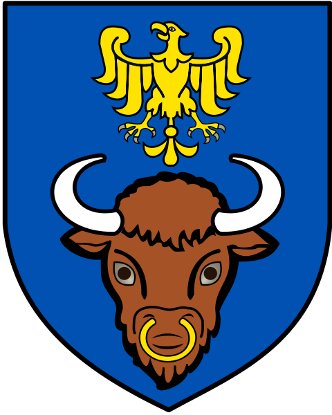S - Miasto Żywiec (480x600)