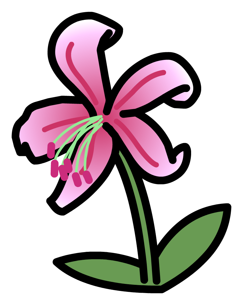 Lily - Portable Network Graphics (796x998)