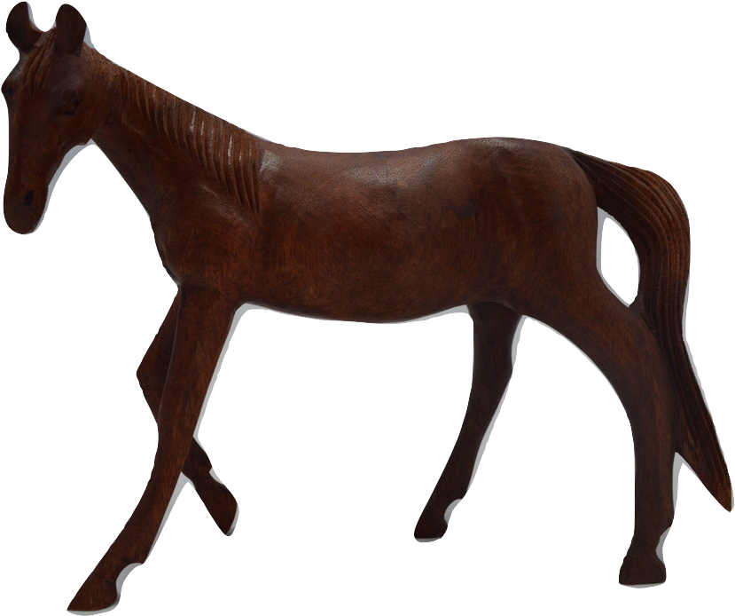 Horse (910x761)
