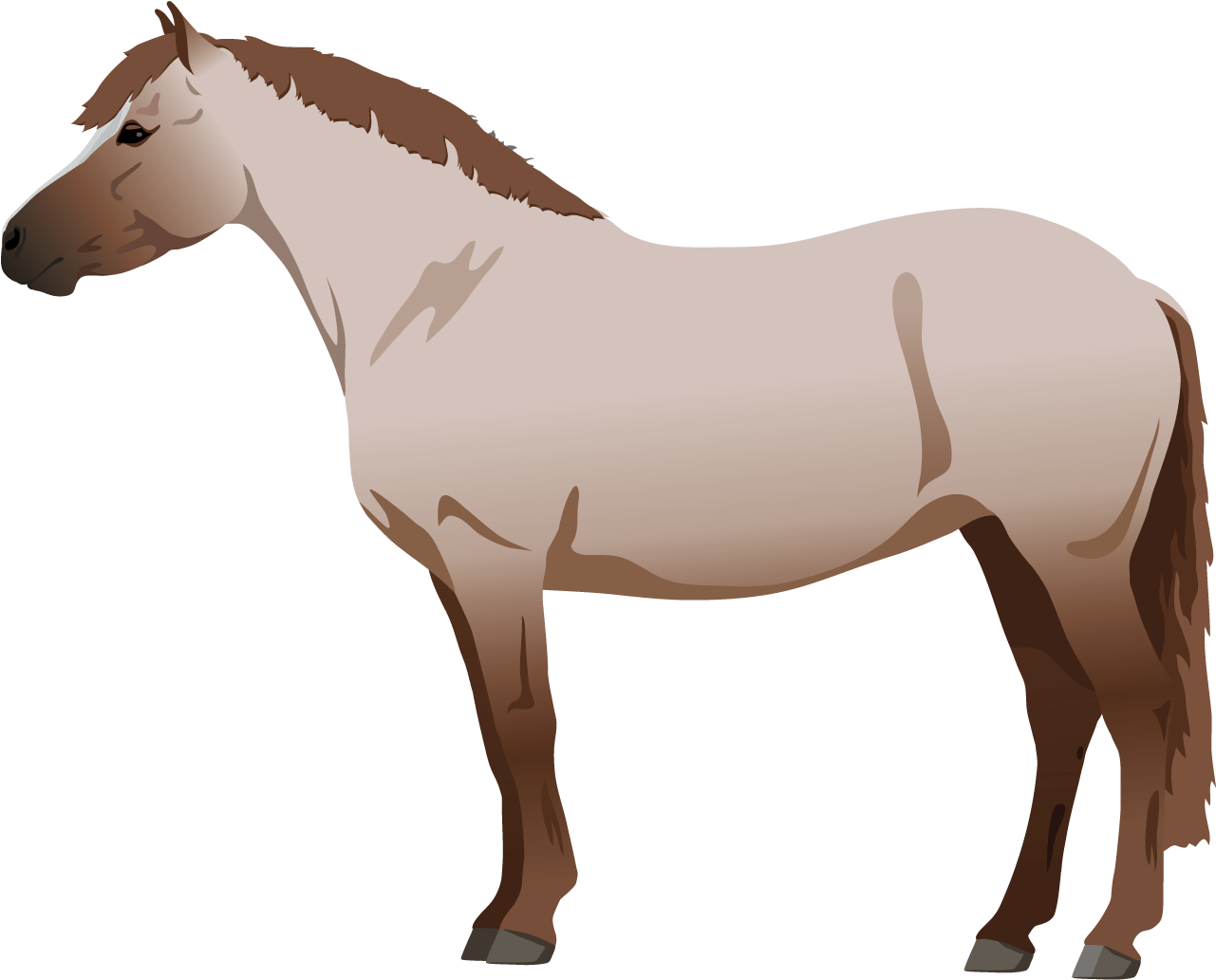 Strawberry Roan - Buckskin (1800x1400)