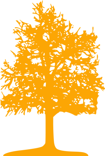 Yellow Tree Icon Png (512x512)