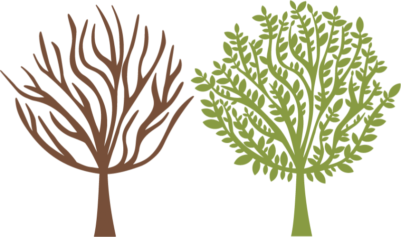 Https - Clip Art (800x474)