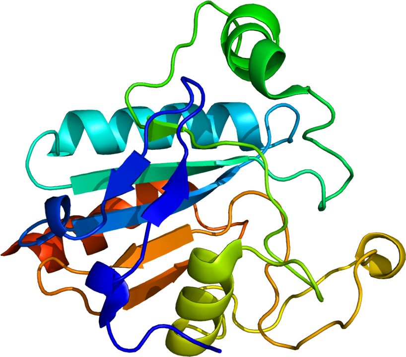 Gpx Structure (867x769)