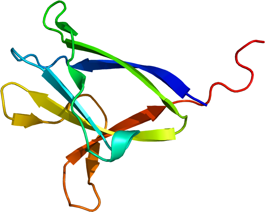 Prkab2 (937x759)