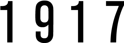 Progress With Downhill Racer - Calligraphy (800x200)