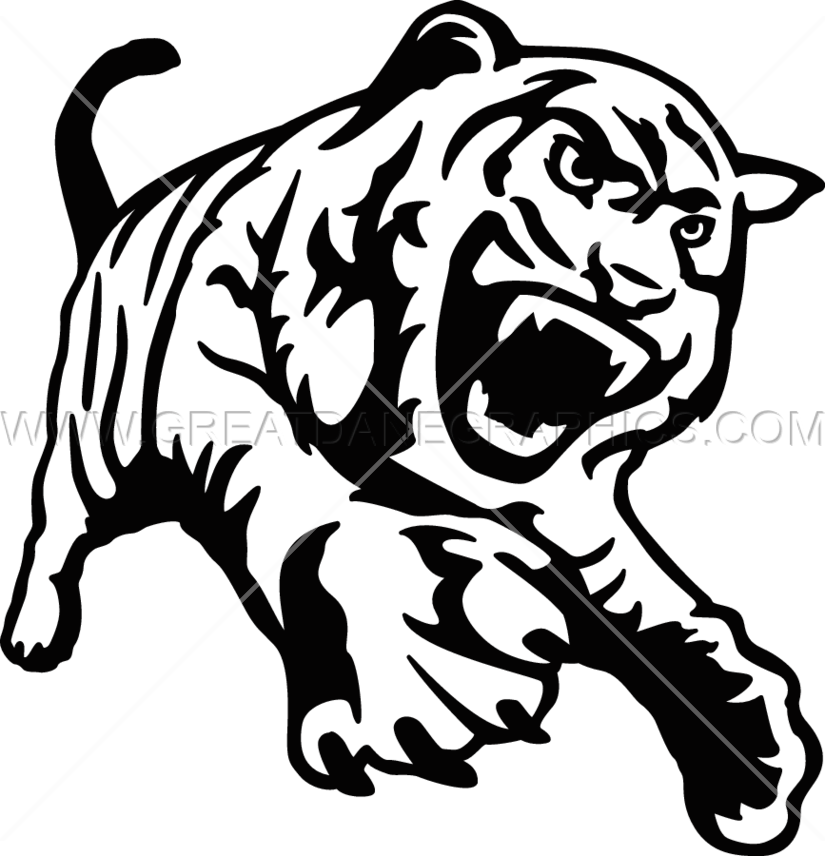 Tiger Full Body - Siberian Tiger (825x856)