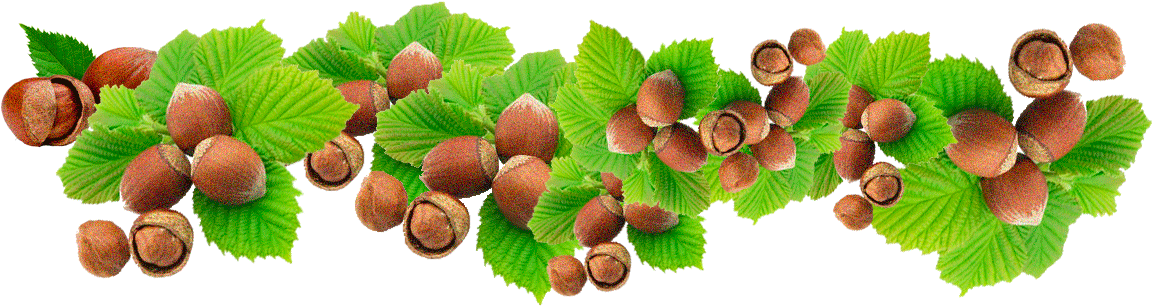 Изображение Для Плейкаста - Lychee (1178x306)