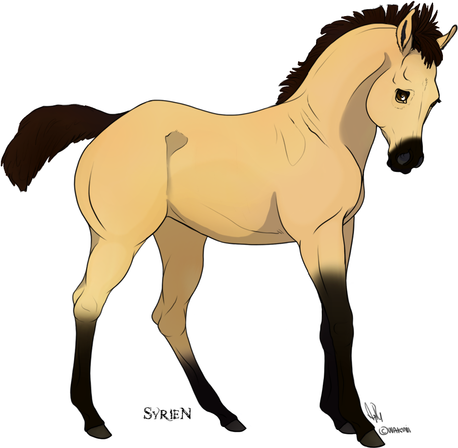 Ink - Foal (1000x1000)