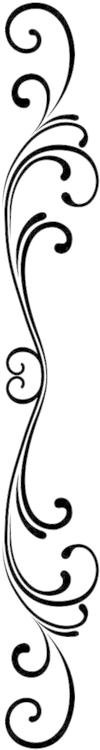 Double Click Here - Video (212x800)