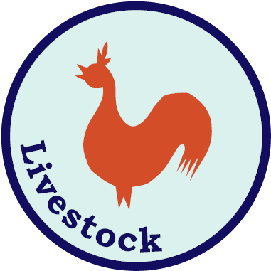 Livestock Certification - Livestock (417x417)
