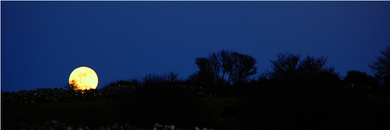 Silhouette - Moon (800x533)