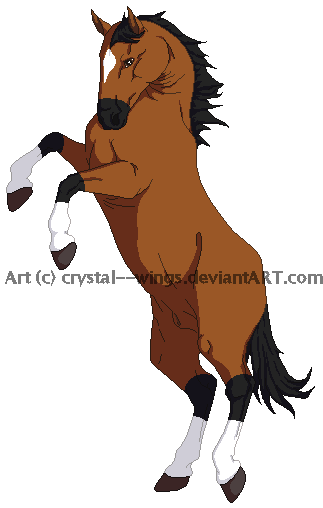 War Horse By Absolute-cheeseface - Cheeseface (334x519)