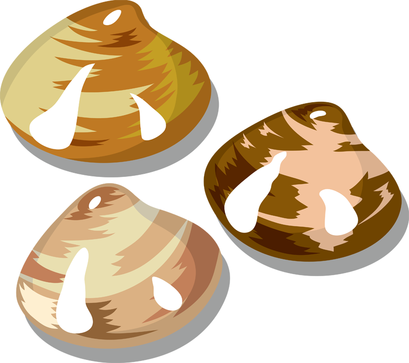 20150525貝 - Shellfish (800x710)