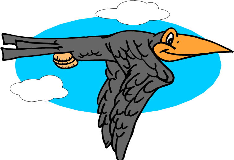 Crows (766x531)