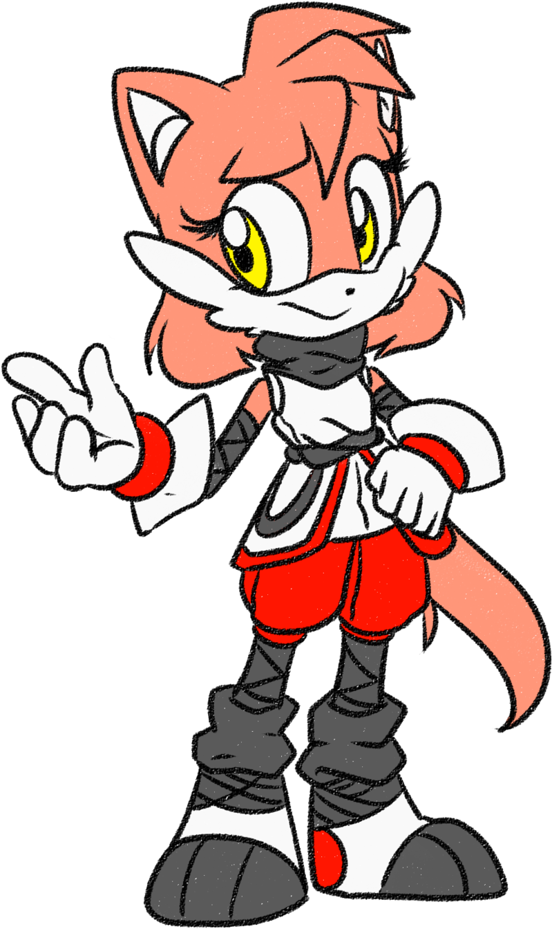 Sonic Boom - Weasel Sonic (1024x1516)
