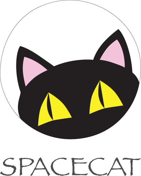 Spacecat Wear - Nicholas Sparks Libri (535x668)