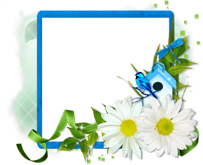 Ftu Cluster - Camomile (725x585)