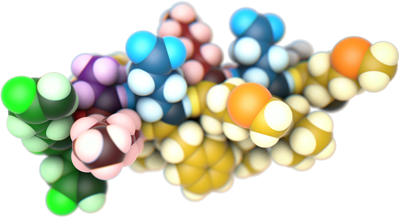 Circle (800x436)
