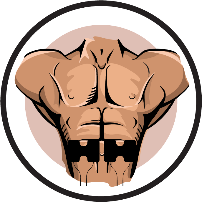 Abdomen (720x720)