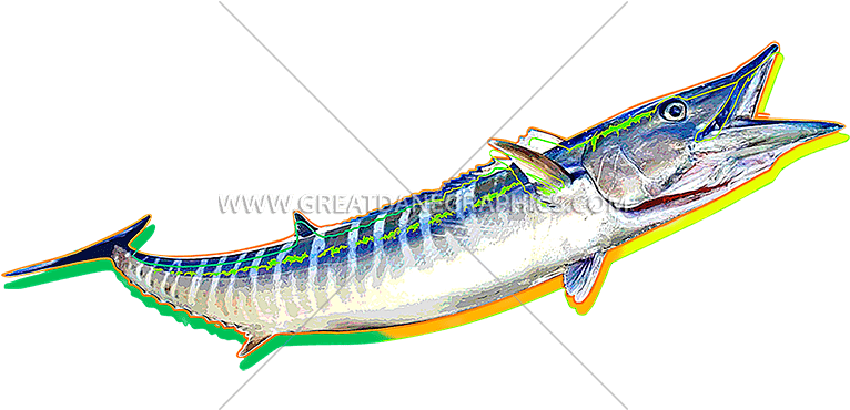 Mackerel Fish Art Work (825x369)